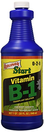 Liquinox 1 0-2-0 Vitamin B1 Start, 1 quart