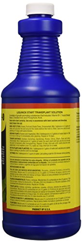 Liquinox 1 0-2-0 Vitamin B1 Start, 1 quart