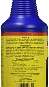 Liquinox 1 0-2-0 Vitamin B1 Start, 1 quart