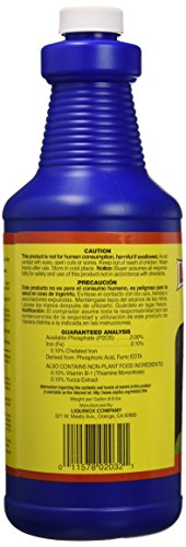 Liquinox 1 0-2-0 Vitamin B1 Start, 1 quart