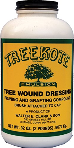 Walter E Clark 00032 Treekote Brushtop Container, 32 Ounce