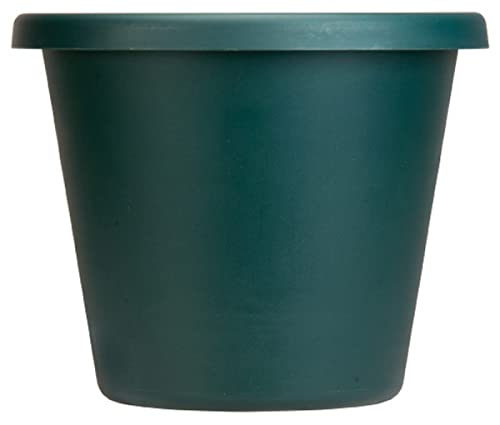 The HC Companies 14 Inch Round Classic Planter - Plastic Plant Pot for Indoor Outdoor Plants Flowers Herbs, Evergreen