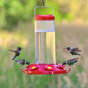 Perky-Pet 220 The Grand Master 48-Ounce Hummingbird Feeder