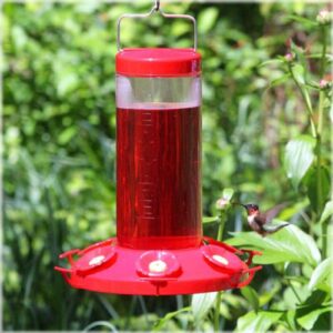 Perky-Pet 220 The Grand Master 48-Ounce Hummingbird Feeder