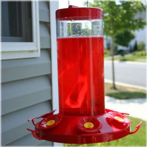 Perky-Pet 220 The Grand Master 48-Ounce Hummingbird Feeder