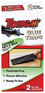 tomcat rat size glue traps, 2-pack (original formula)