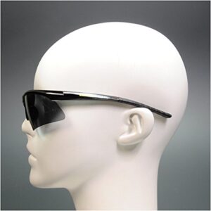 Dewalt DPG51-2C Radius Smoke 10 Base Curve Lens Protective Safety Glasses,Blacks