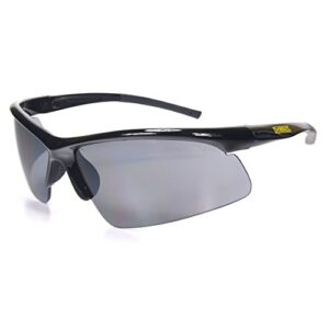 Dewalt DPG51-2C Radius Smoke 10 Base Curve Lens Protective Safety Glasses,Blacks