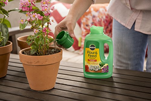 Miracle-Gro Pour & Feed Plant Food, Fertilizer Instantly Feeds Live Plants, For Outdoor & Indoor Plants in Containers, 32 oz.