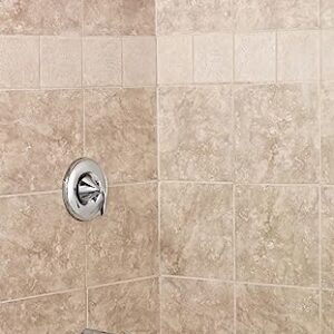 Moen Eva Brushed Nickel Posi-Temp Single-Handle Tub and Shower Trim Kit with Shower Head, Shower Arm, Tub Spout, and Lever Handle, (Valve Required), T2133BN