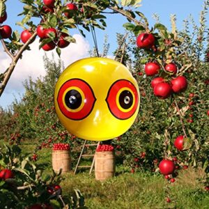 Bird-X Scare-Eye Bird Repellent Predator Eyes Balloon, Yellow