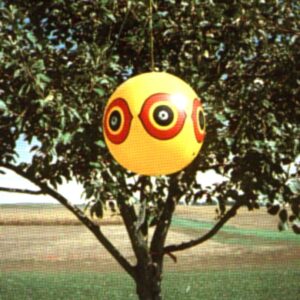 Bird-X Scare-Eye Bird Repellent Predator Eyes Balloon, Yellow