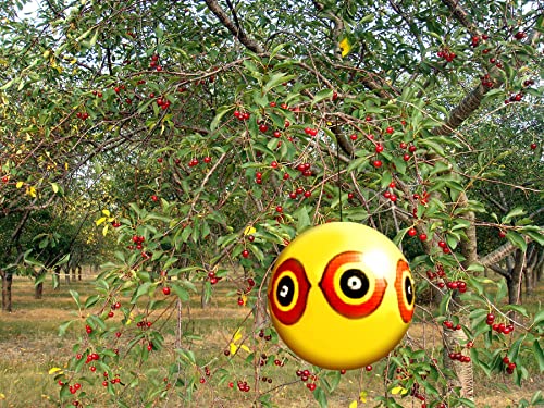 Bird-X Scare-Eye Bird Repellent Predator Eyes Balloon, Yellow