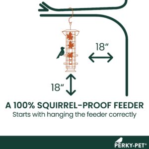 Perky-Pet 336-1SR Squirrel-Be-Gone Bird Feeder, 2LB Squirrel Proof Outdoor Wild Bird Feeder with Weight-Activated Perches