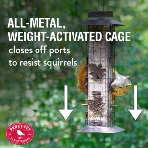 Perky-Pet 336-1SR Squirrel-Be-Gone Bird Feeder, 2LB Squirrel Proof Outdoor Wild Bird Feeder with Weight-Activated Perches