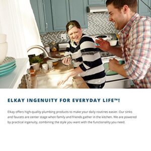 Elkay Lustertone ELUH311810 Equal Double Bowl Undermount Stainless Steel Kitchen Sink