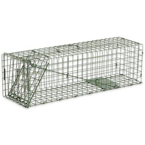 duke traps rabbit cage trap