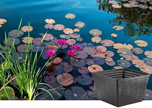 Little Giant 566556 UPB-1212-PW Square Aquatic Plant Basket for Ponds, 11.35 inches Square x 7.35 inches high, Black, 566556