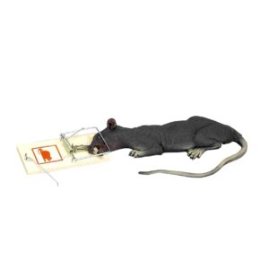 Forum Novelties Wiggling Rat in Trap (Battery Operated)