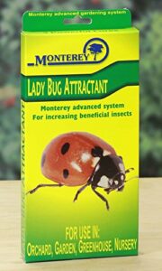 monterey lg8510 lady bug lure, pack of 3