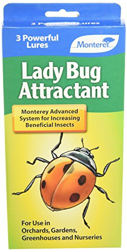 Monterey LG8510 Lady Bug Lure, Pack of 3