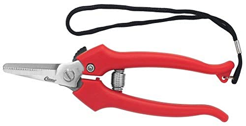 Clauss 33403 6-inch Stainless Steel Floral Lanyard 6" Cutter