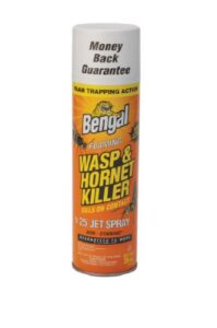 bengal 97119 foaming wasp & hornet killer, 20 oz