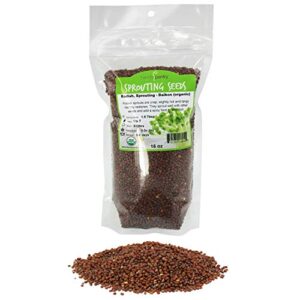 organic radish sprouting seeds - 1 pound non-gmo daikon radish seeds - plant & grow microgreens indoors