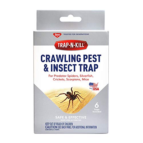 Enoz Trap-N-Kill Spider and Silverfish Sticky Traps, Nontoxic, Made in USA, 6 Count