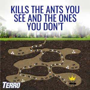 TERRO Liquid Ant Killer ll T200, 2 oz