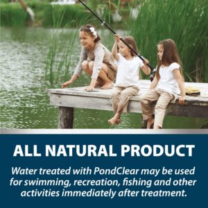 Airmax PondClear Pond Clarifier, Cleans Water & Eliminates Odor, Natural & Easy to Use Bacteria & Enzyme Packets, Safe for The Environment, Treats 1/4 Acre, 6 Month Supply, 24 Packets, 6 lbs