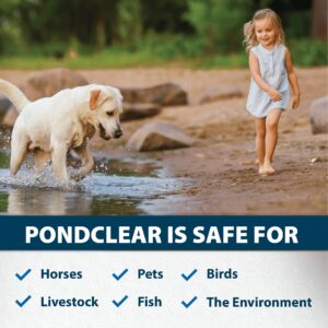 Airmax PondClear Pond Clarifier, Cleans Water & Eliminates Odor, Natural & Easy to Use Bacteria & Enzyme Packets, Safe for The Environment, Treats 1/4 Acre, 6 Month Supply, 24 Packets, 6 lbs