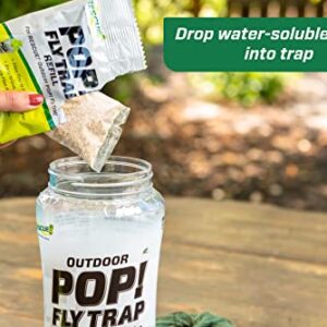 RESCUE! POP! Fly Trap – Large Reusable Fly Trap for Outdoor Use