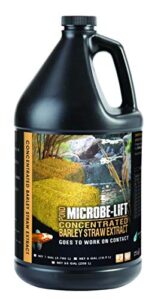 microbe-lift mlcbseg4 concentrated barley straw extract conditioner for ponds and outdoor water garden, safe for live koi fish, plants, and decorations, 1 gallon