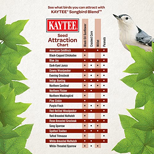 Kaytee Wild Bird Songbird Blend Food Seed, 35 Pounds