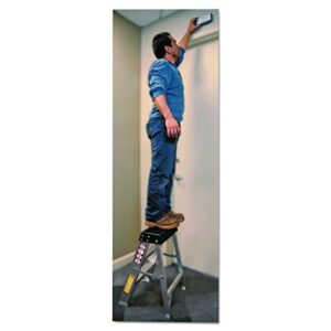 Louisville Ladder AS3002 6966014, 2 feet, Black