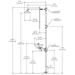 Speakman SE-690 Combination Shower with Round Eye/Face Wash Station, DuraJade Powder-Coat