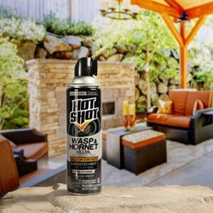 Hot Shot Wasp & Hornet Killer Spray, For Insects Eliminates The Nest, Sprays Up Tp 27 Feet, 14 fl Ounce