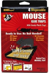 d.o.a. - dead on arrival! tyg7172 pic mouse traps, rat, multi