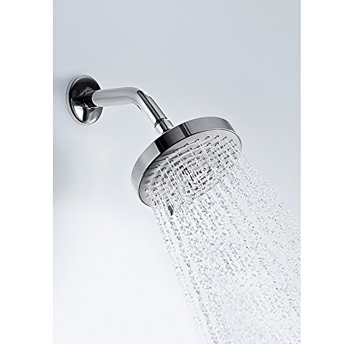 hansgrohe 27495001 Raindance Showerhead, 2.88 x 5.38 x 5.38 Inches, Chrome