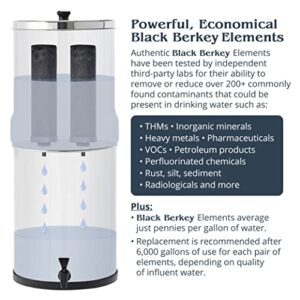 Imperial Berkey Gravity-Fed Stainless Steel Countertop Water Filter System 4.5 Gallon with 2 Authentic Black Berkey Elements BB9-2 Filters