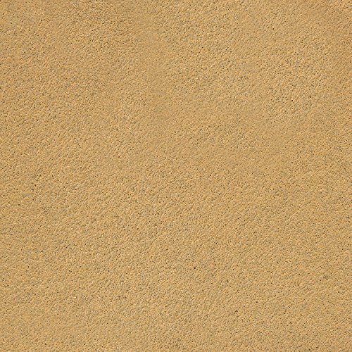 Dura-Gold Premium 80 Grit Gold PSA Longboard Sandpaper 20 Yard Long Continuous Roll, 2-3/4" Wide - Self Adhesive Stickyback Sandpaper for Automotive, Woodworking, Air File Sanders, Hand Sanding Blocks