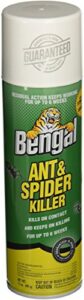 bengal chemical ant and spider killer, 17 oz