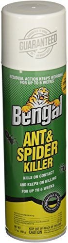 Bengal Chemical Ant and Spider Killer, 17 oz