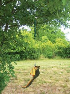 songbird essentials squngee squirrel feeder, amusing bungee and bell squirrel feeder, holds 2 ears of corn