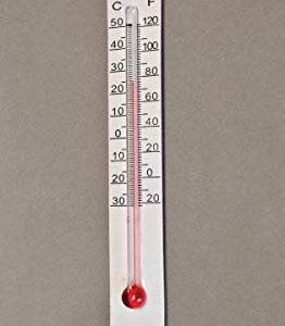 Little Giant® Incubator Thermometer Kit | Temperature Measure for Inside Incubator When Incubating Eggs | Incubation Thermometer | Assembled in USA