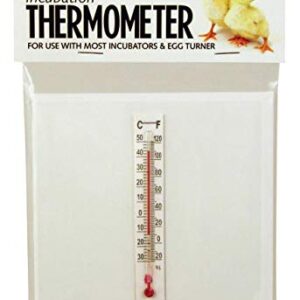 Little Giant® Incubator Thermometer Kit | Temperature Measure for Inside Incubator When Incubating Eggs | Incubation Thermometer | Assembled in USA