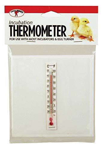 Little Giant® Incubator Thermometer Kit | Temperature Measure for Inside Incubator When Incubating Eggs | Incubation Thermometer | Assembled in USA