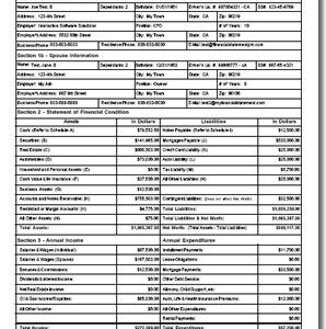 Financial Statement Pro