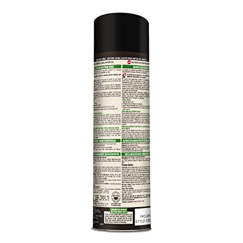 Spectracide Terminate Termite Killing Foam, Kills Exposed Subterranean, Drywood and Dampwood Termites On Contact, for Insects, 16 fl Ounce